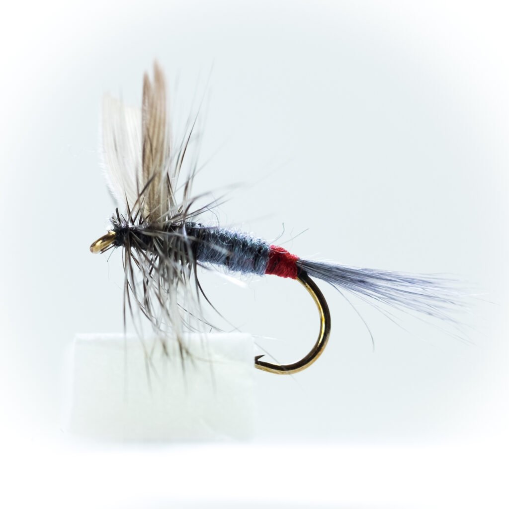 iron blue dry fly for trout fishing 