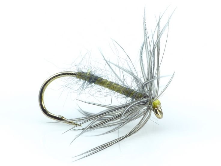 Waterhen bloa spider pattern 