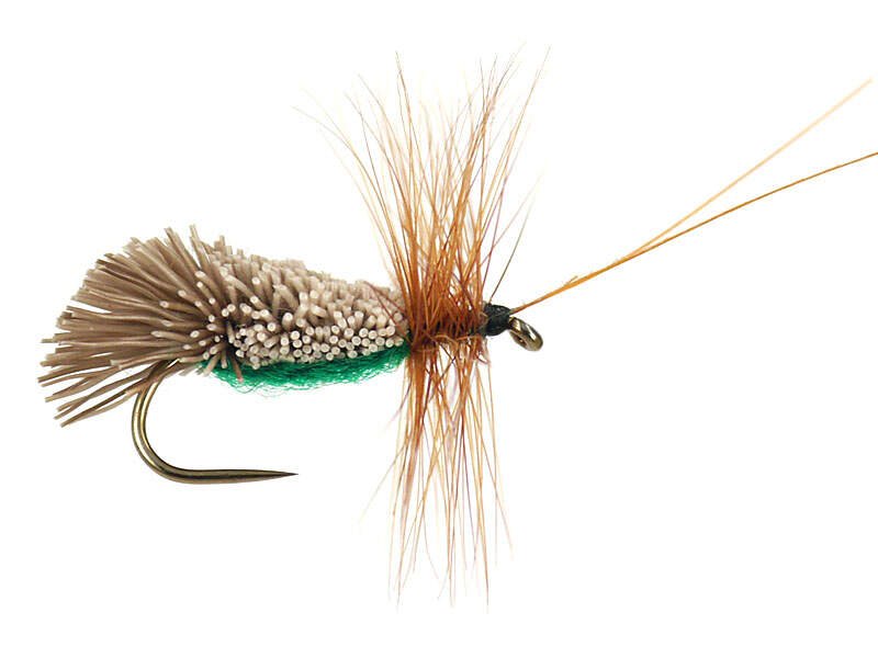 Goddard caddis green trout fly 