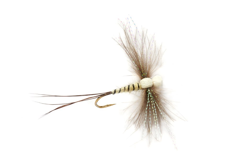 UK Upwing Flies – Match the Hatch Guide - Beardy Bros fly fishing blog