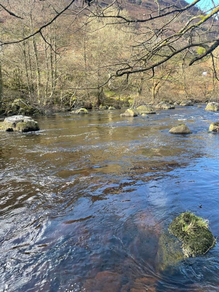 Boulder and foam lane in River elan 